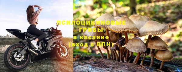 прущая мука Арсеньев