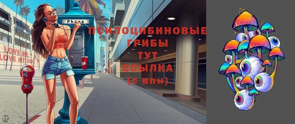 прущая мука Арсеньев